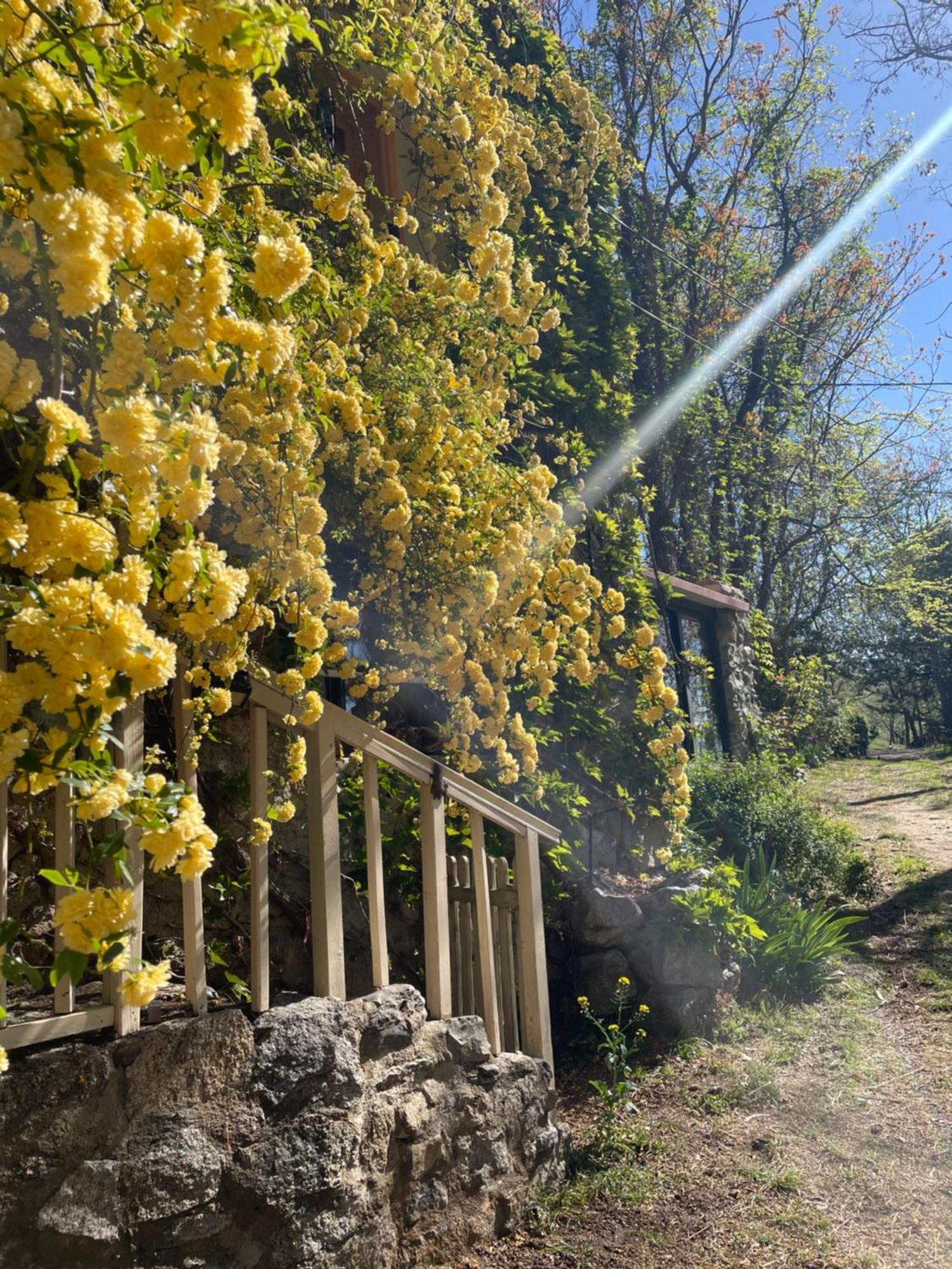 Вилла Domaine St Georges Mosset Экстерьер фото